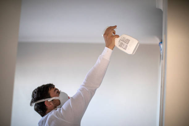 Best Office Mold Removal Services  in Chesterton, IN